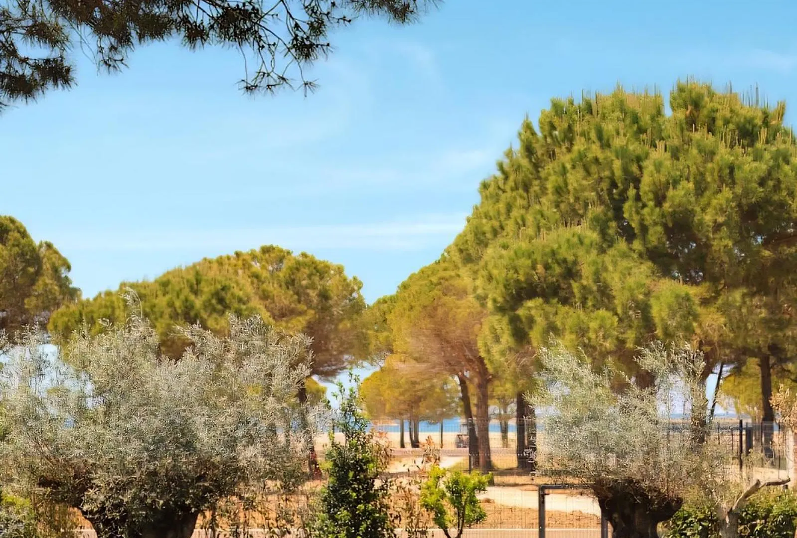 Premium Melia Garden Apartment Plazhi San Pietro 0*,  Albánie
